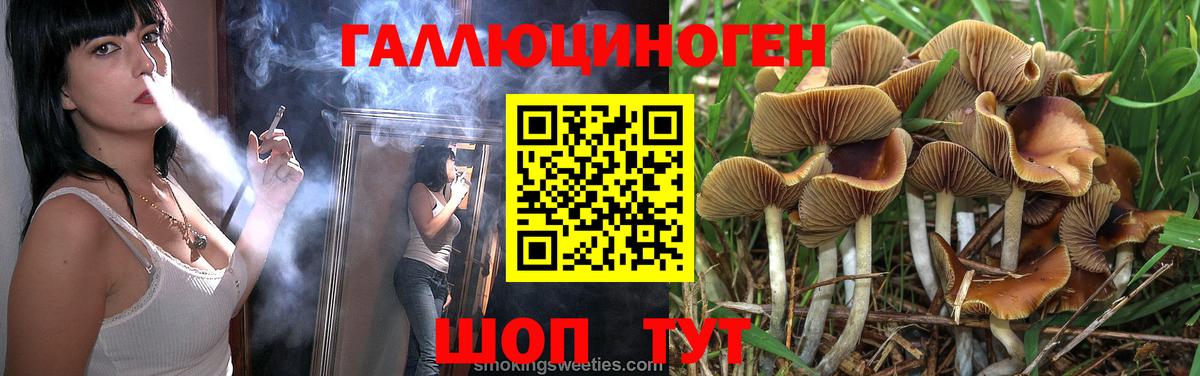Псилоцибиновые грибы Psilocybine cubensis  Псилоцибиновые грибы мицелий  Нижнеудинск  Вход с VPN 